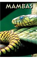 Mambas