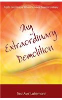 My Extraordinary Demolition