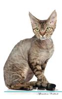 Devon Rex Affirmations Workbook Devon Rex Presents: Positive and Loving Affirmations Workbook. Includes: Mentoring Questions, Guidance, Supporting You.