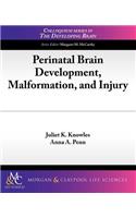 Perinatal Brain Development, Malformation, and Injury