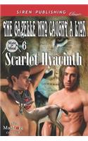 The Gazelle Who Caught a Lion [Mate or Meal 6] (Siren Publishing Classic Manlove)