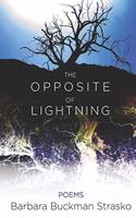 Opposite of Lightning