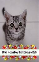 I Used To Love Dogs Until I Discovered Cats