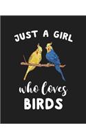 Just A Girl Who Loves Birds: Blank Lined Notebook to Write In for Notes, To Do Lists, Notepad, Journal, Funny Gifts for Birds Lover