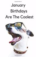 January Birthdays Are The Coolest