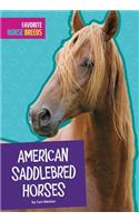 American Saddlebred Horses