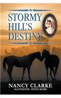 Stormy Hill's Destiny