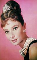 Audrey Hepburn notebook - achieve your goals, perfect 120 lined pages #5