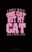 I Only Have One Cat But My Cat Has A Few Cats: Unruled Composition Book(1891 Unruled Composition Book)