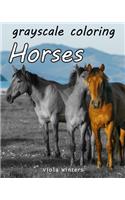 Grayscale Coloring Horses