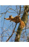 Relaxed Squirrel Composition Notebook 200 8"x10" college-ruled pages