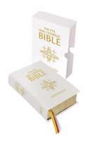 New Catholic Bible: (New Catholic Bible)