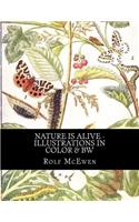 Nature is Alive - Illustrations in Color & BW