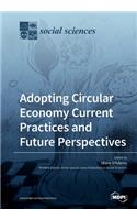 Adopting Circular Economy Current Practices and Future Perspectives