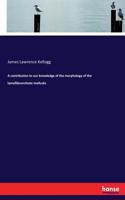 contribution to our knowledge of the morphology of the lamellibranchiate mollusks