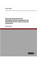 Public Corporate Governance. Unternehmenskontrolle bei Privatunternehmen im Eigentum der öffentlichen Hand