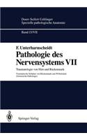 Pathologie Des Nervensystems VII