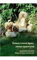 Sieben Lhasa Apso