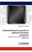 Understanding the Growth of Epitaxial Inas/GAAS Nanowires