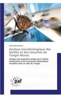 Analyse Microbiologique Des Blattes Et Des Mouches de Tanger-Maroc