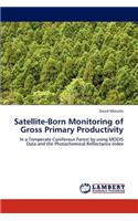 Satellite-Born Monitoring of Gross Primary Productivity