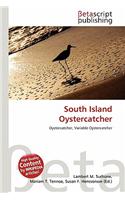South Island Oystercatcher: (English)