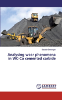 Analysing wear phenomena in WC-Co cemented carbide