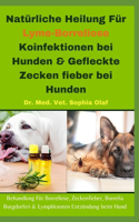 Natürliche Heilung Für Lyme-Borreliose Koinfektionen bei Hunden & Gefleckte Zecken fieber bei Hunden: Behandlung Für Borreliose, Zeckenfieber, Borrelia Burgdorferi & Lymphknoten Entzündung beim Hund