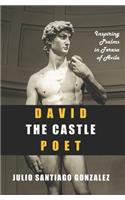 David the Castle Poet