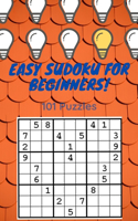 Easy SUDOKU For Beginners!