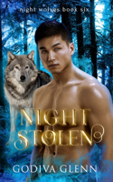 Night Stolen: A Wolf Shifter Romance(6 Night Wolves)