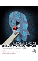 Mechanisms of Sensory Working Memory