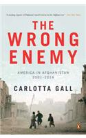 The Wrong Enemy: America In Afghanistan 2001-2014