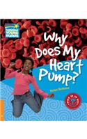Why Does My Heart Pump? Level 6 Factbook: (Cambridge Young Readers)