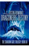 Dragonfire Destiny