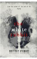 White Rabbit