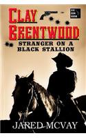 Stranger on a Black Stallion
