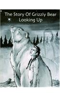 Story of Grizzly Bear Looking Up