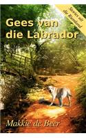 Gees van die Labrador