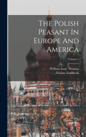 Polish Peasant In Europe And America; Volume 4