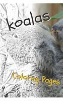 Koala Coloring Sheets