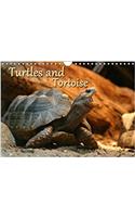 Turtles and Tortoise / UK-Version 2018: Beautiful Photos of Turtles on Land and Water(Calvendo Animals)