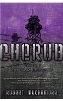 Maximum Security