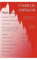 Financial Contagion
