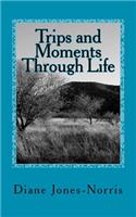 Trips and Moments Through Life