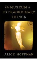 The Museum of Extraordinary Things