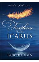 Feathers from Icarus: A Collection of Short Fiction