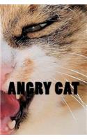 Angry Cat