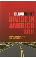 The Black White Divide in America... Still: The Inherent Contradiction in Partial Equality