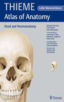 Head and Neuroanatomy: Latin Nomenclature